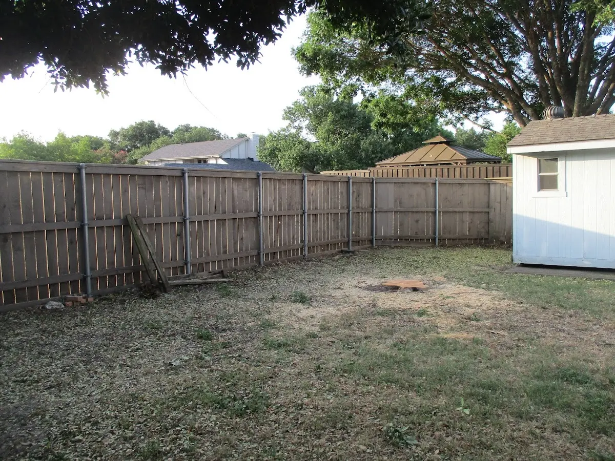 Cleared yard after professional tree removal in Clay Springs