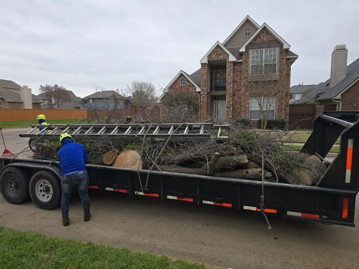 Expert Lot Clearing with proper safety equipment in Clay Springs